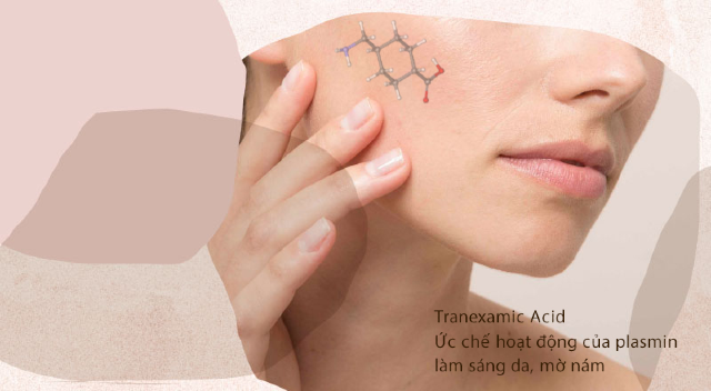 Tranexamic Acid ức chế hoạt động của plasmin giúp làm sáng da và mờ nám