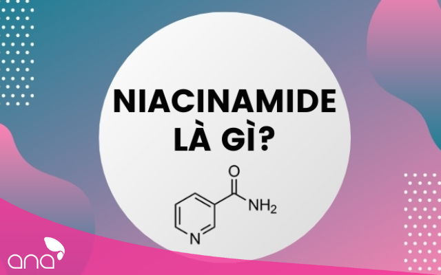 niacinamide-la-gi-cung-kham-pha-6-tac-dung-của-niacinamide-doi-voi-lan-da (3)