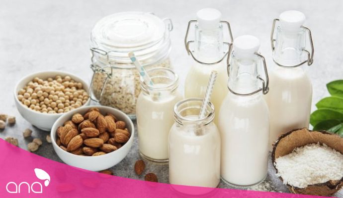 Lợi ích của việc uống sữa hạt giảm cân
