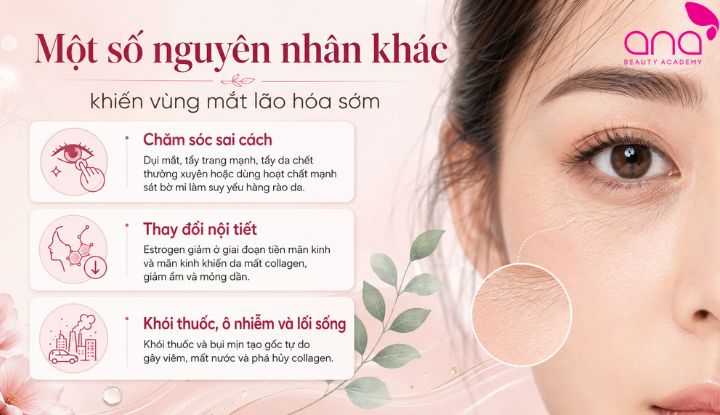 Các tác nhân làm suy yếu hàng rào da mắt 