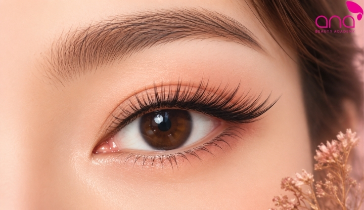 Đặc điểm nhận biết kiểu nối mi đuôi cá