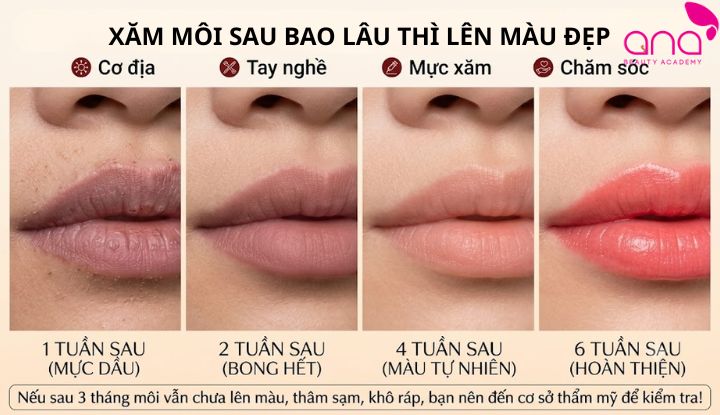 Tốc độ lên màu sau xăm phụ thuộc cơ địa và cách chăm sóc