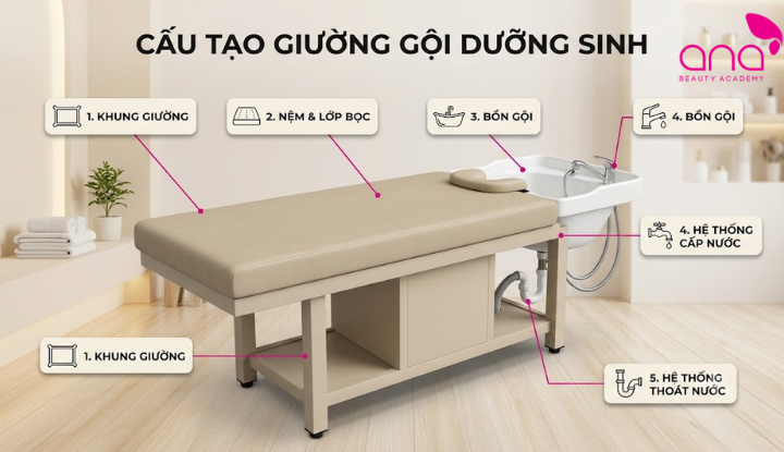 Giường gồm khung, nệm, bồn gội cùng hệ thống cấp thoát nước