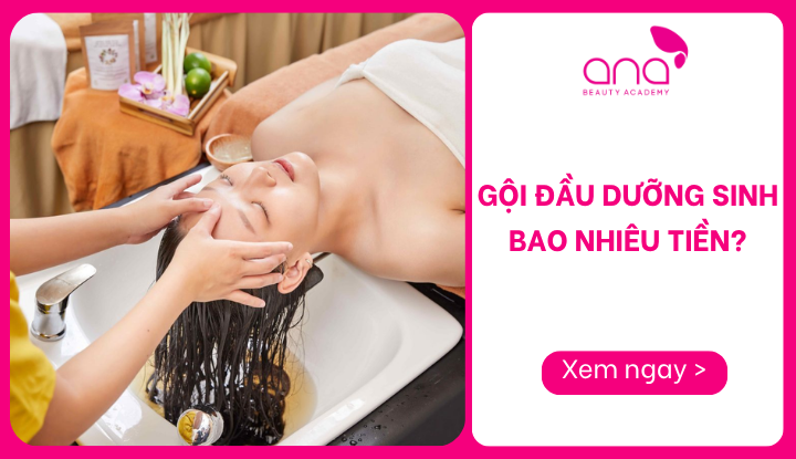 gội đầu dưỡng sinh bao nhiêu tiền