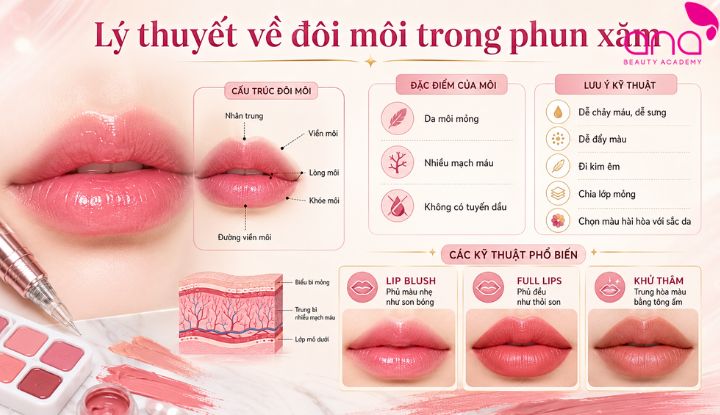 Hiểu đặc điểm da môi, sắc tố nền và nguyên tắc thao tác