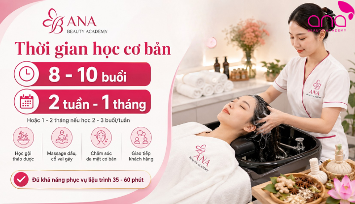 Khóa cơ bản trang bị kỹ thuật gội, massage và bấm huyệt