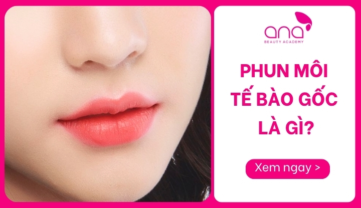 phun môi tế bào gốc là gì