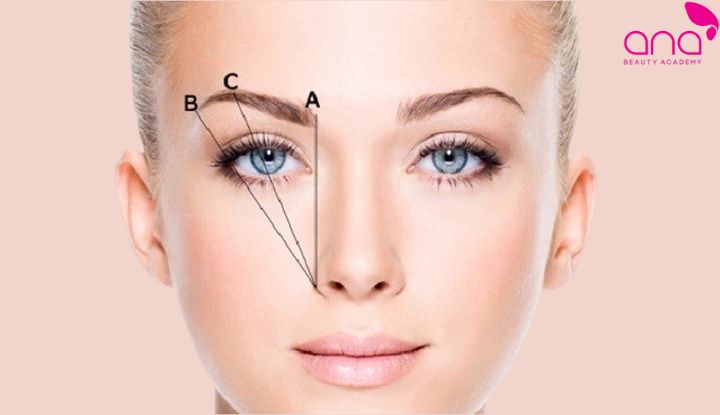 Ứng dụng các điểm đo và tỷ lệ khuôn mặt xây dựng dáng mày (Nguồn: Internet)