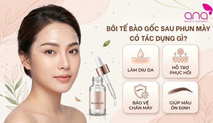 Bôi tế bào gốc sau phun mày có tác dụng gì?