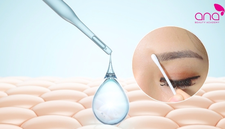 Tế bào gốc là gì?