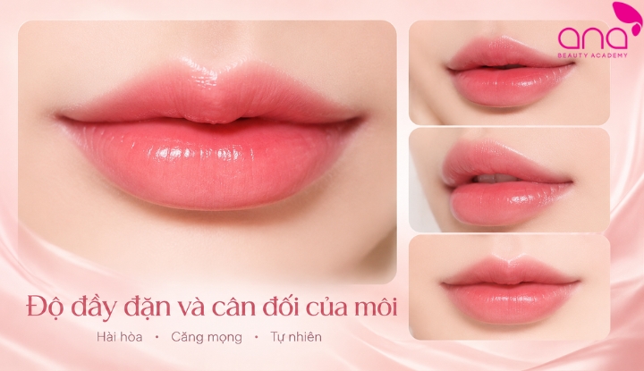 Độ đầy đặn và cân đối của môi