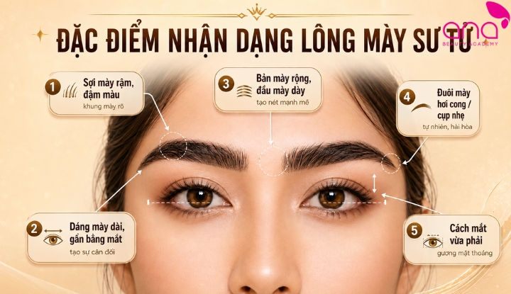 Nhận dạng lông mày sư tử qua sợi mày rậm và bản mày lớn