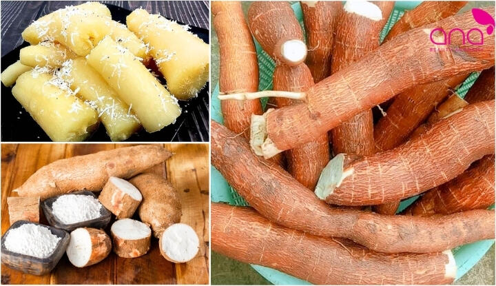 Tìm hiểu về khoai mì
