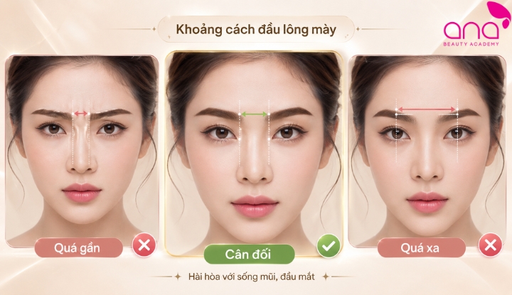 Khoảng cách hai đầu lông mày sư tử cân đối