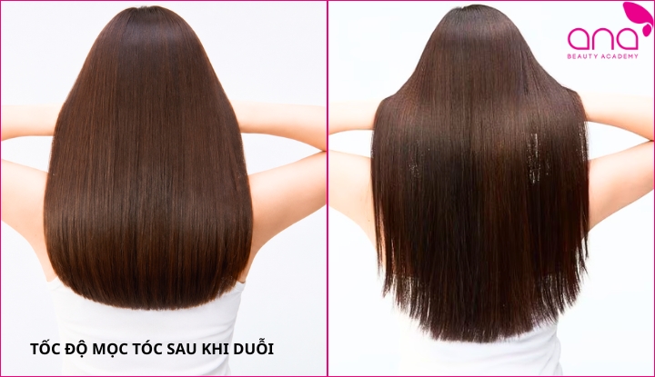 Tốc độ mọc tóc sau khi duỗi