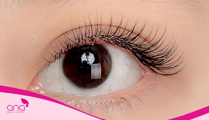 1001+ Hình Ảnh Nối Mi Đẹp Tự Nhiên & Hot Trend 2025