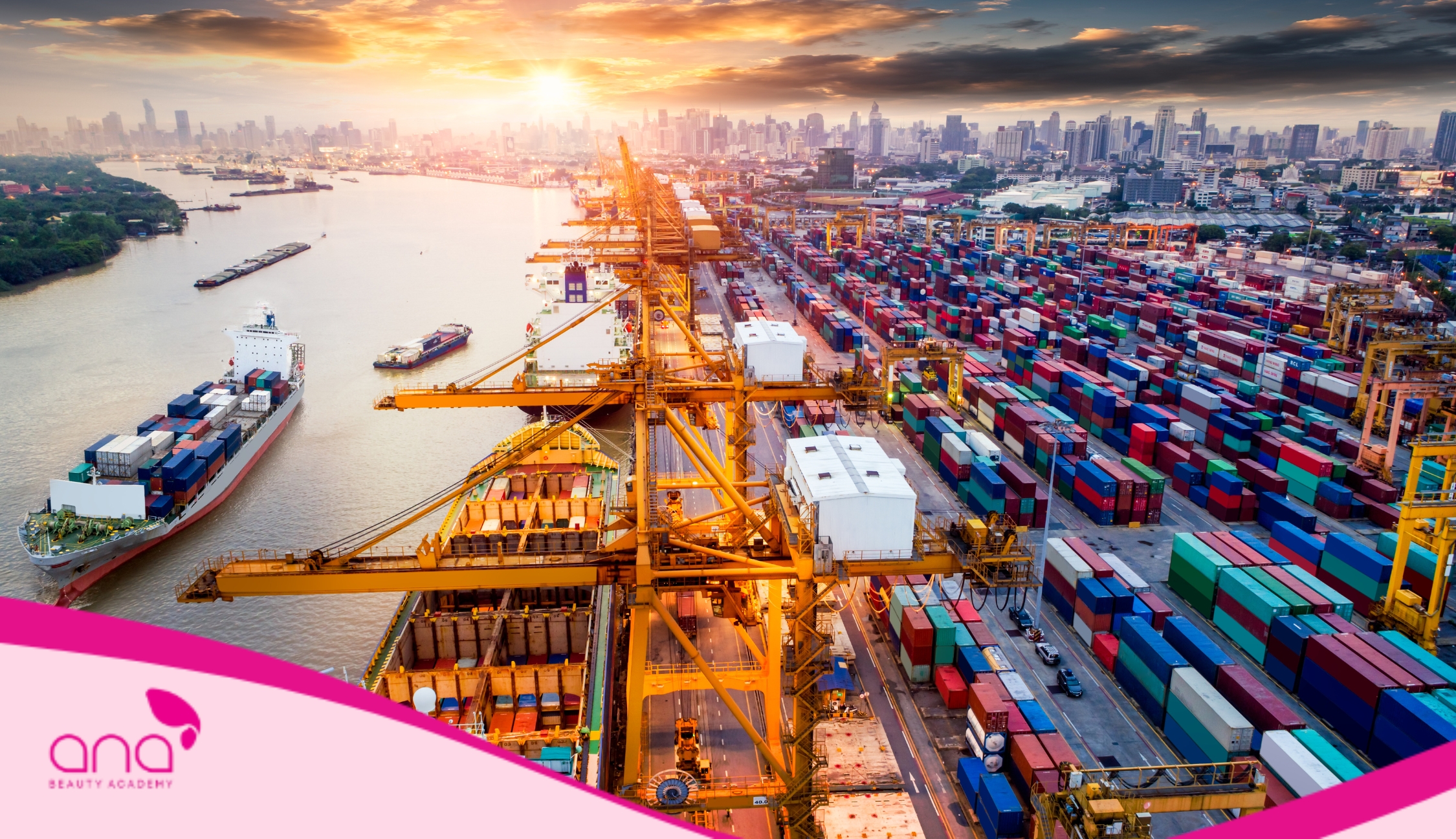 Logistics & Quản lý chuỗi cung ứng mở ra nhiều cơ hội việc làm cho các bạn trẻ