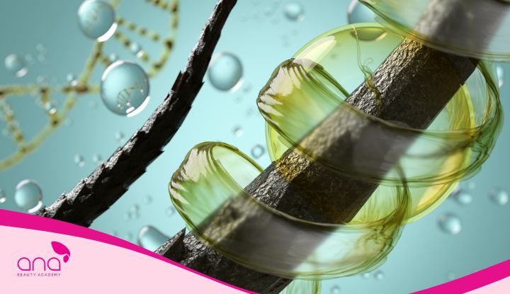 bọc keratin là gì