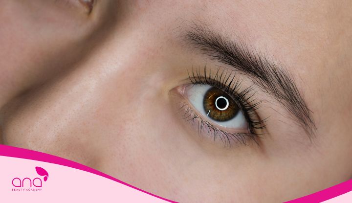 khái niệm nối mi classic là gì