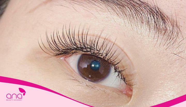 Mi classic tự nhiên