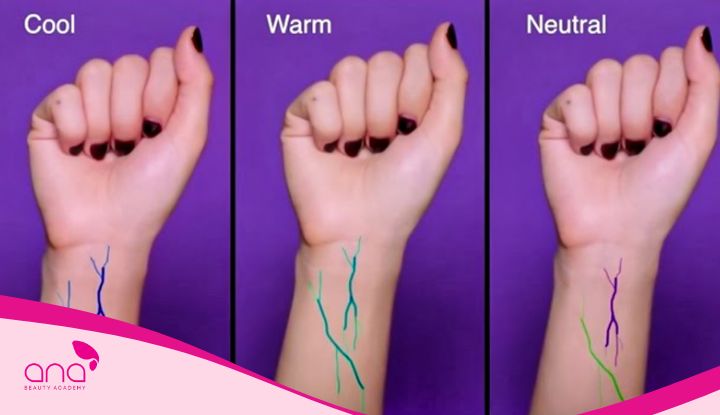 Cách xác định undertone