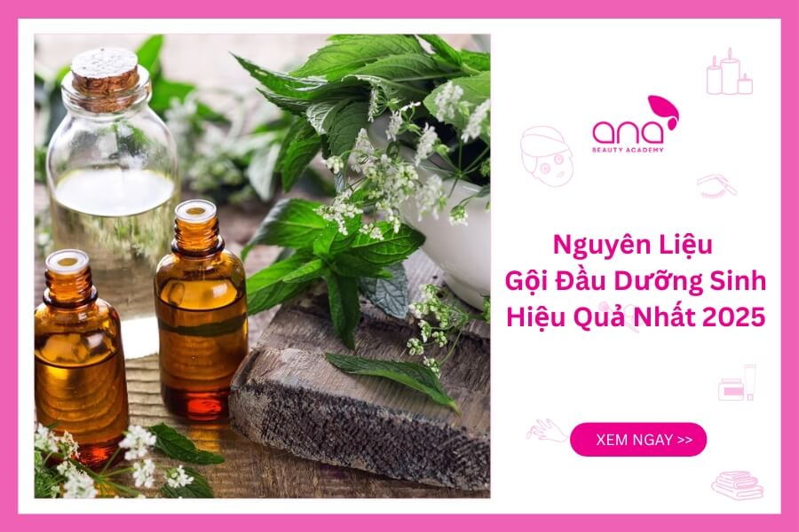 12 nguyên liệu gội đầu dưỡng sinh hiệu quả nhất 2025