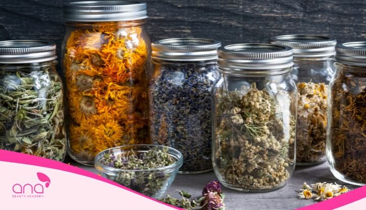 Để bảo quản thảo dược hiệu quả, cần chú ý đến các yếu tố như nhiệt độ, độ ẩm, ánh sáng