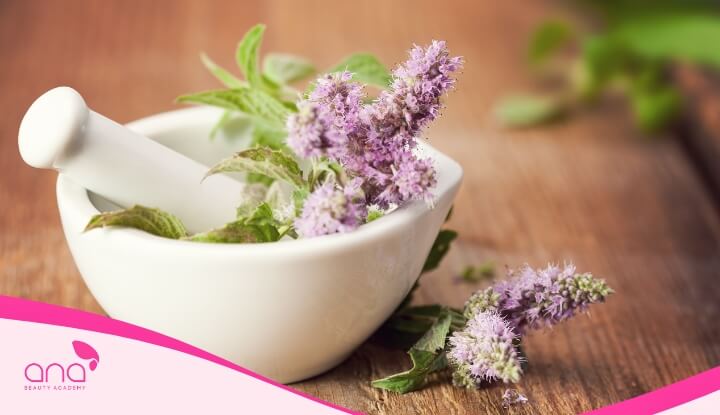 Cần đảm bảo nguồn gốc của các loại thảo dược để đảm bảo hiệu quả khi sử dụng