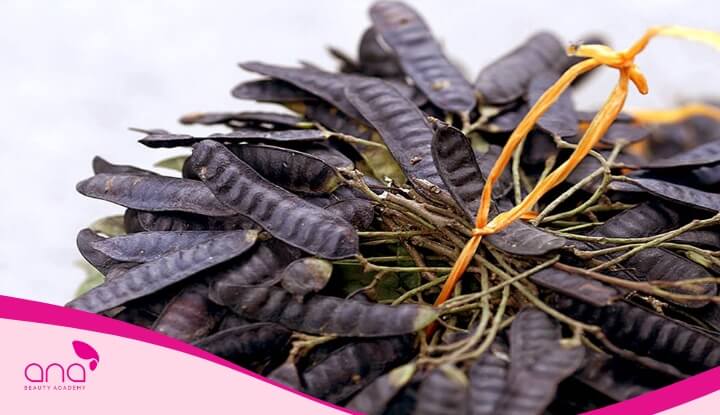 Bồ kết giúp kích thích tóc mọc nhanh