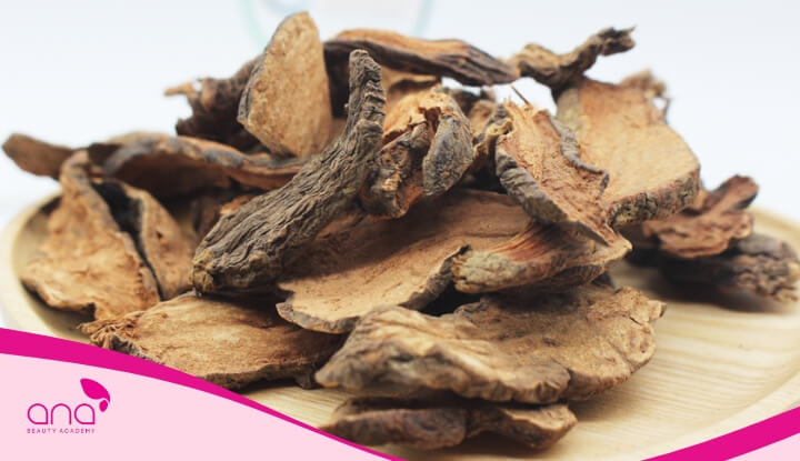 Gội đầu bằng hà thủ ô giúp trị rụng tóc hiệu quả