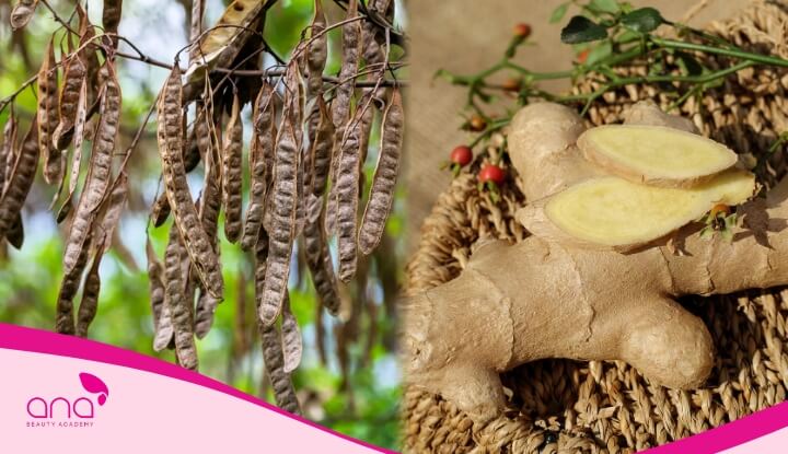 Dầu gội bồ kết gừng sẽ kích thích tóc mọc nhanh