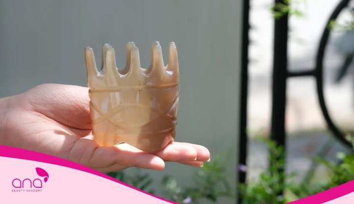 Lược chải thông kinh lạc sừng bạc làm khí huyết lưu thông khắp cơ thể