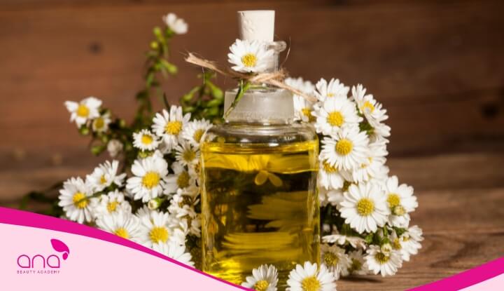 Tinh dầu hoa cúc chăm sóc tóc nhờ đặc tính kháng viêm, làm dịu da đầu, giảm gàu, dưỡng ẩm