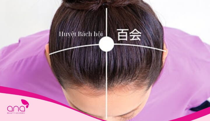Huyệt Bách Hội nằm tại điểm lõm giữa đỉnh đầu, là giao điểm của đường dọc cơ thể và đường nối hai đỉnh vành tai 