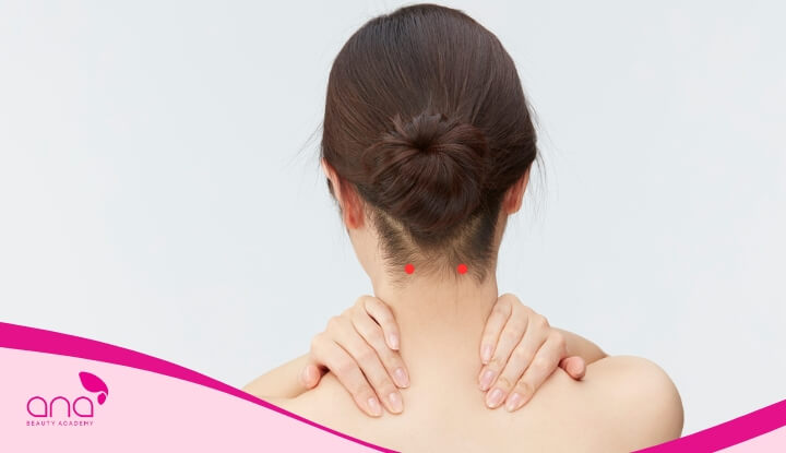 Huyệt Phong Trì là huyệt đạo quan trọng nằm ở phía sau gáy, hai bên cổ