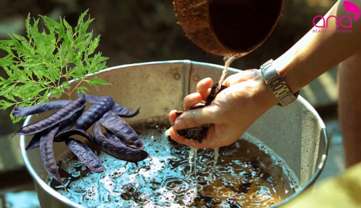 Kết hợp lá đinh lăng với bồ kết giúp làm sạch da đầu