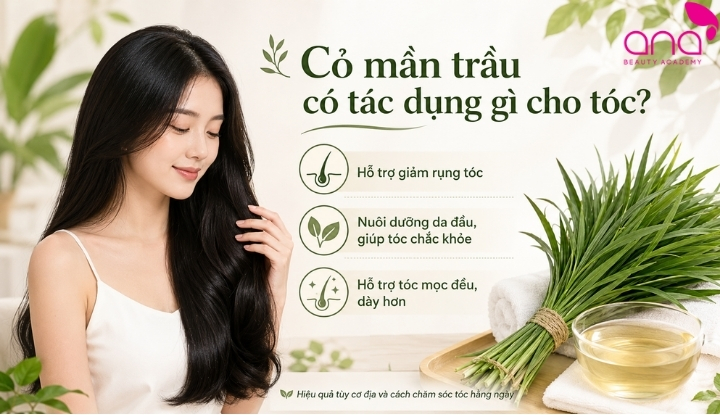 Cỏ mần trầu có tác dụng gì cho tóc?
