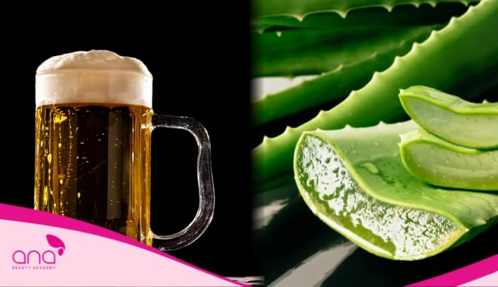 Gội đầu với nha đam giúp cân bằng độ ẩm và làm mềm sợi tóc 