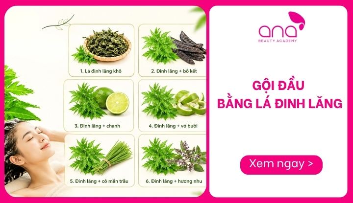 gội đầu bằng lá đinh lăng