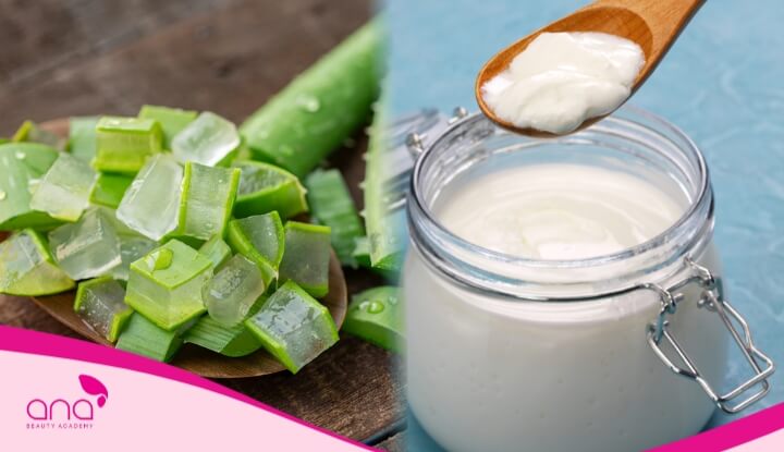 Phương thức gội đầu bằng nha đam kết hợp cùng sữa chua cũng được rất nhiều người ưa chuộng