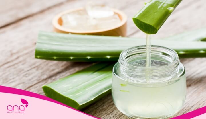 Nha đam được sử dụng phổ biến để chăm sóc tóc