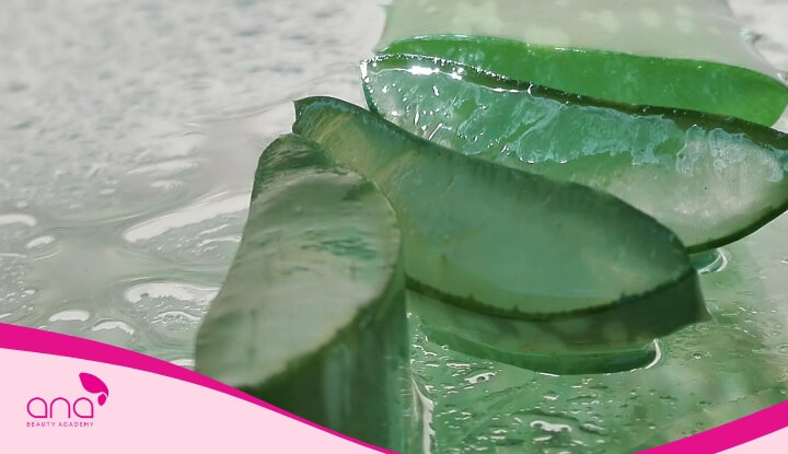 Gội đầu bằng nha đam thường xuyên sẽ giúp mái tóc trở nên óng ả và bóng mượt