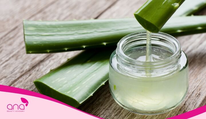 Bạn có thể ủ tóc hoặc gội đầu trực tiếp bằng nha đam nếu không có thời gian chuẩn bị thêm nguyên liệu khác