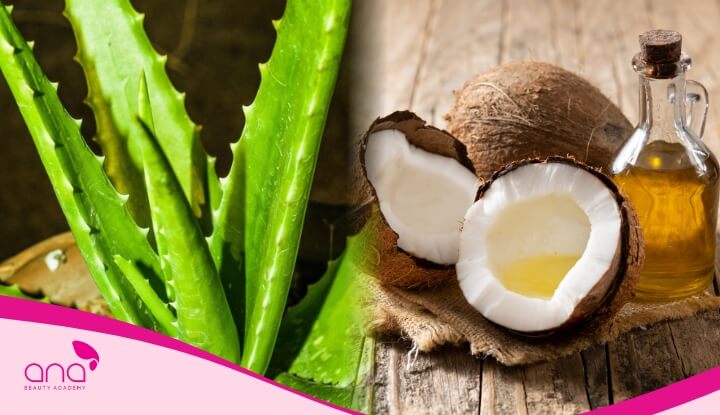 Hiệu ứng tóc bóng mượt sẽ rõ rệt khi bạn kết hợp nha đam cùng dầu dừa