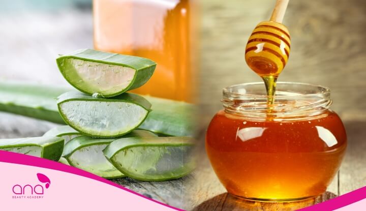 Chăm sóc tóc bằng nha đam với mật ong giúp giảm tình trạng rụng tóc rất hiệu quả