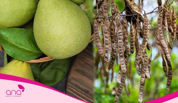 Vỏ bưởi kết hợp với các nguyên liệu thảo dược khác sẽ giúp tăng hiệu quả dưỡng tóc rõ rệt  