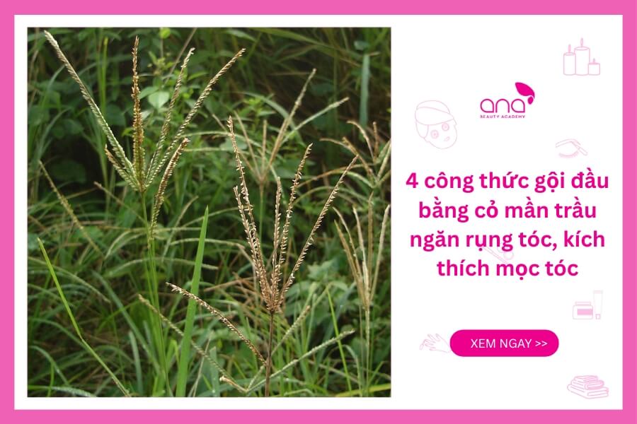 Công thức gội đầu với cỏ mần trầu trị rụng tóc hiệu quả