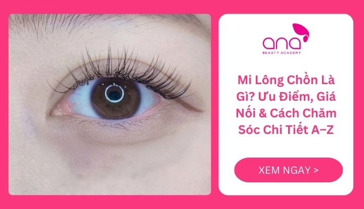 Mi lông chồn là gì