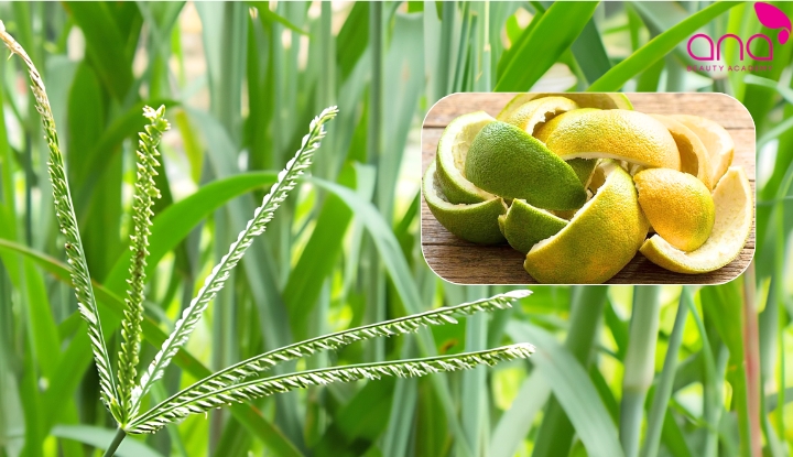 Gội đầu bằng cỏ mần trầu và vỏ bưởi