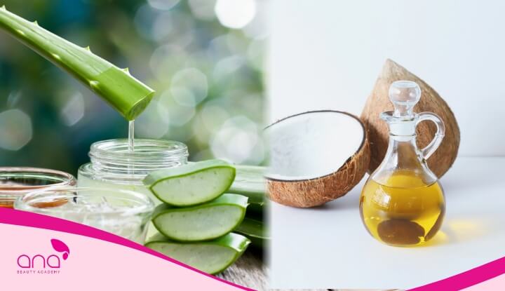 Nha đam khi kết hợp cùng dầu dừa tạo nên công thức chăm sóc tóc vừa tiết kiệm vừa hiệu quả  